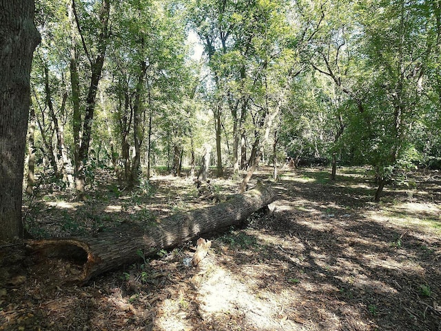 5990 Painter Rd, Minnetrista, MN 55364 - view of wooded area