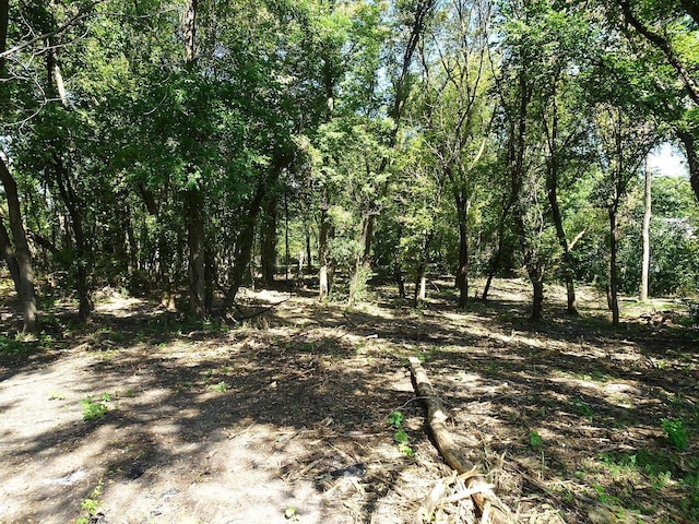 5990 Painter Rd, Minnetrista, MN 55364 - view of nature