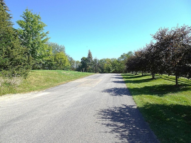 5990 Painter Rd, Minnetrista, MN 55364 - view of asphalt road