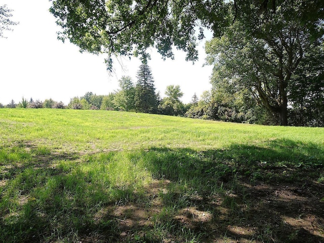 5990 Painter Rd, Minnetrista, MN 55364 - view of yard with a view of rural / pastoral area
