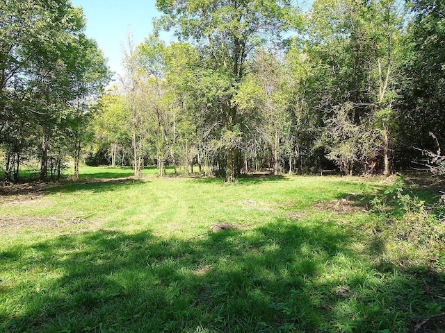 5990 Painter Rd, Minnetrista, MN 55364 - view of green lawn featuring a wooded view