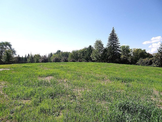 5990 Painter Rd, Minnetrista, MN 55364 - view of yard with a view of countryside