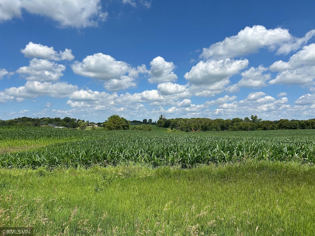 22130 97th Ave N, Corcoran, MN 55374 - photo 2