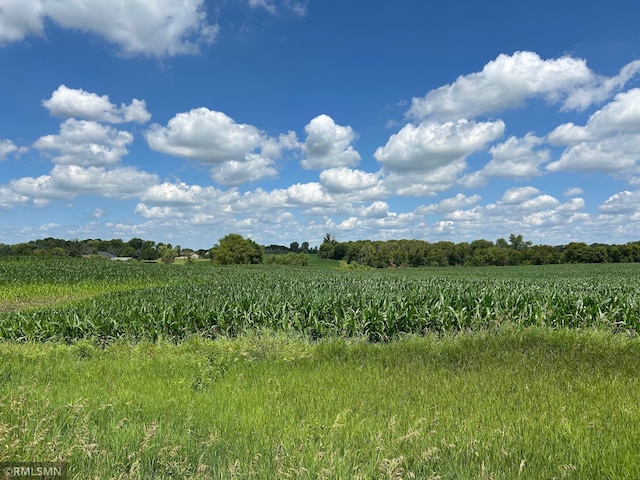 22130 97th Ave N, Corcoran, MN 55374 - photo 2