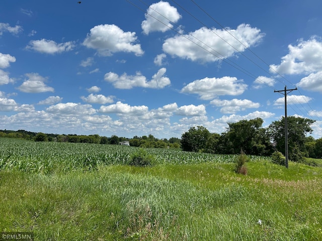 22130 97th Ave N, Corcoran, MN 55374 - photo 3