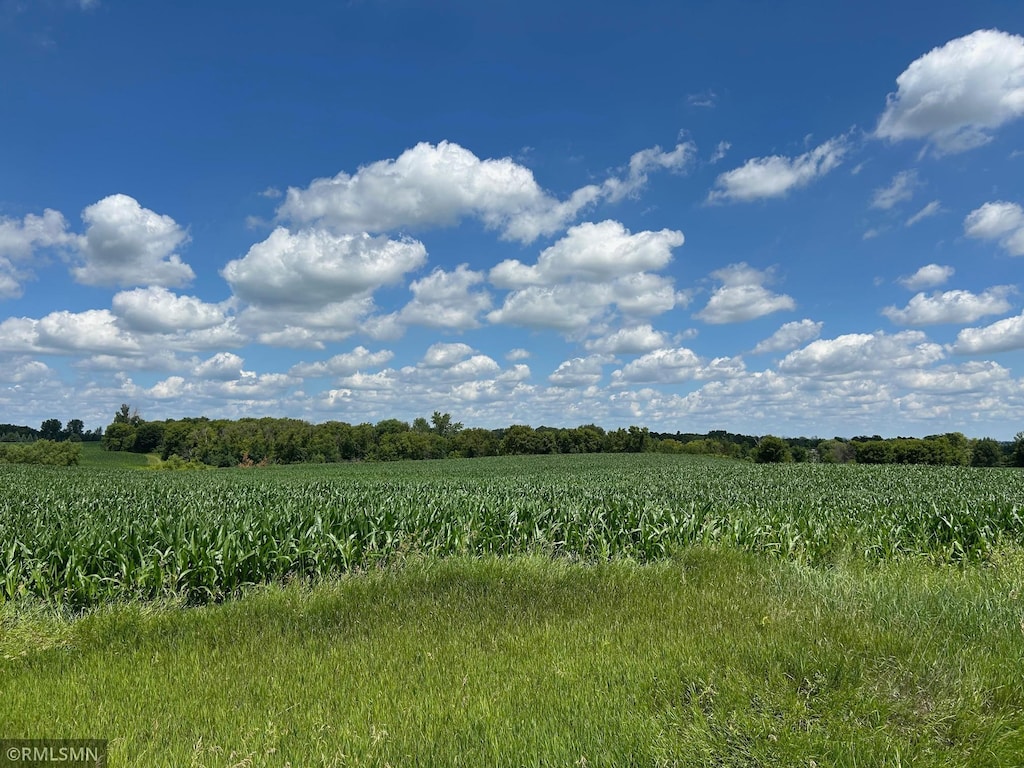 22130 97th Ave N, Corcoran, MN 55374 - photo 4