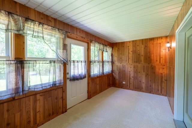 10 Cree Point Dr, Mankato, MN 56001 - carpeted empty room with wooden walls