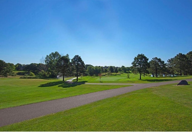3653 Village Ct, Woodbury, MN 55125 - photo 21