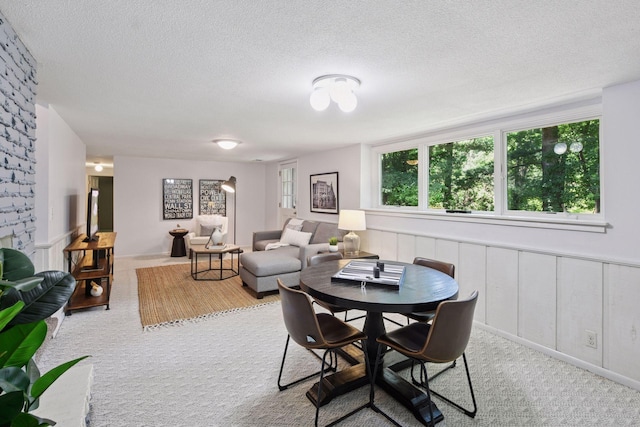 3918 Willmatt Hl, Minnetonka, MN 55305 - carpeted dining area with plenty of natural light and a textured ceiling