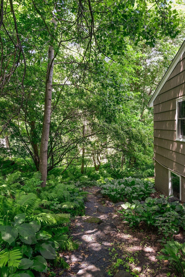 3918 Willmatt Hl, Minnetonka, MN 55305 - view of yard