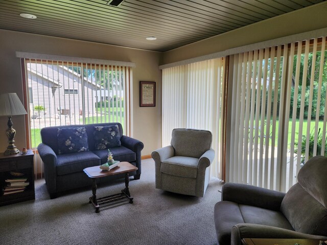 1631 Blue Jay Blvd, Fairmont, MN 56031 - photo 33