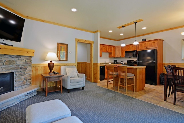 24909 Sandy Ln, Bay Lake Twp, MN 56444 - living room featuring wainscoting, a stone fireplace, recessed lighting, and wood walls