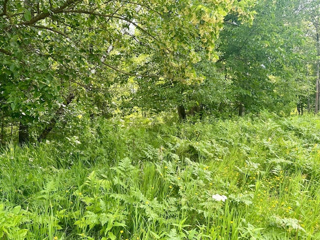 LOT2BLK1 Eagle Dr NW, Leech Lake Twp, MN 56484