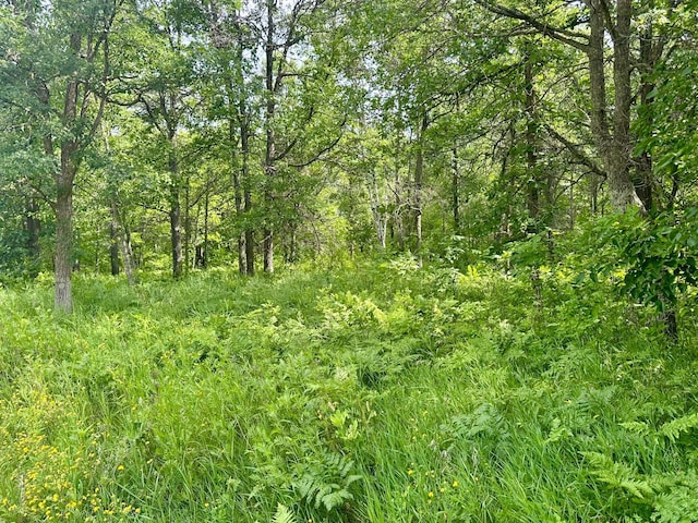 LOT2BLK1 Eagle Dr NW, Leech Lake Twp, MN 56484