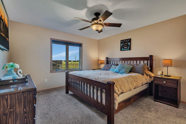 511 8th St SW, Rice, MN 56367 - bedroom featuring carpet and a ceiling fan