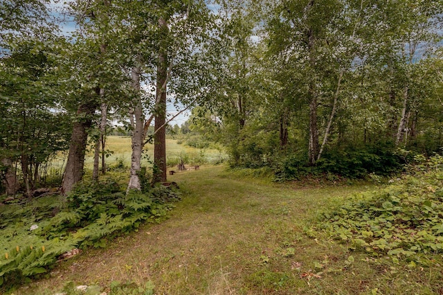 5102 Archer Dr, Motley, MN 56466 - photo 12