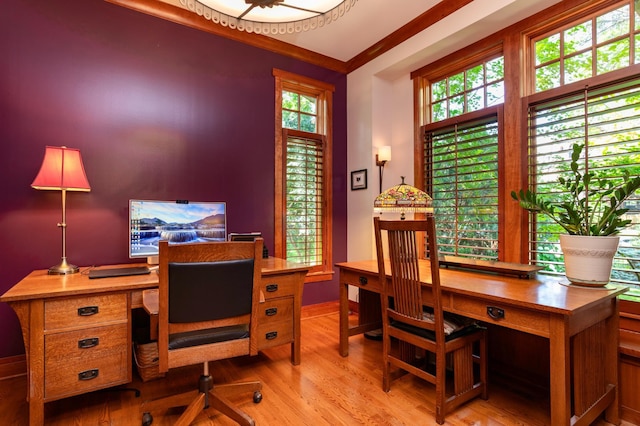 582 Summit Ave, Saint Paul, MN 55102 - office space featuring light wood-style floors and baseboards