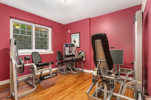 582 Summit Ave, Saint Paul, MN 55102 - exercise room featuring wood finished floors