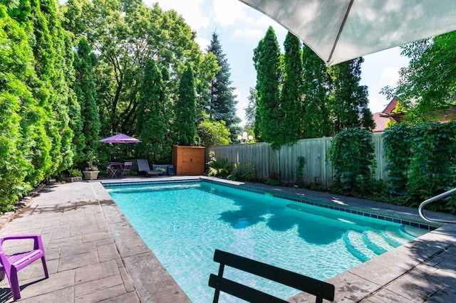 582 Summit Ave, Saint Paul, MN 55102 - view of pool featuring a fenced backyard and a patio
