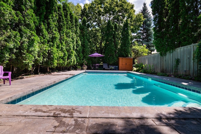 582 Summit Ave, Saint Paul, MN 55102 - view of pool with a fenced backyard and a patio area
