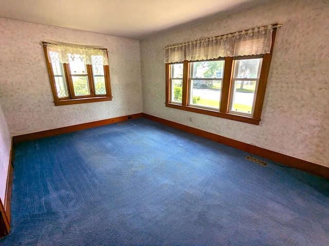 521 Chestnut St, Winona, MN 55987 - carpeted spare room with baseboards
