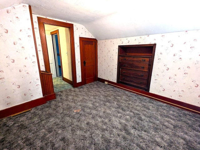 521 Chestnut St, Winona, MN 55987 - bonus room with lofted ceiling and carpet flooring