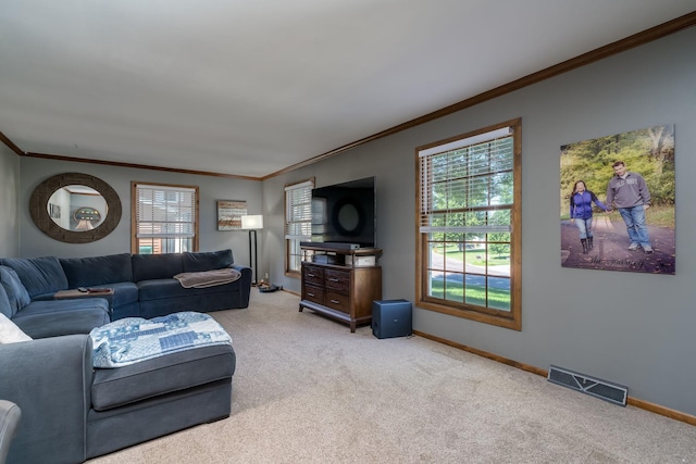 143 Outer Dr, Le Sueur, MN 56058 - photo 6