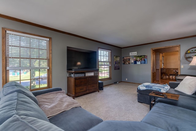 143 Outer Dr, Le Sueur, MN 56058 - photo 9