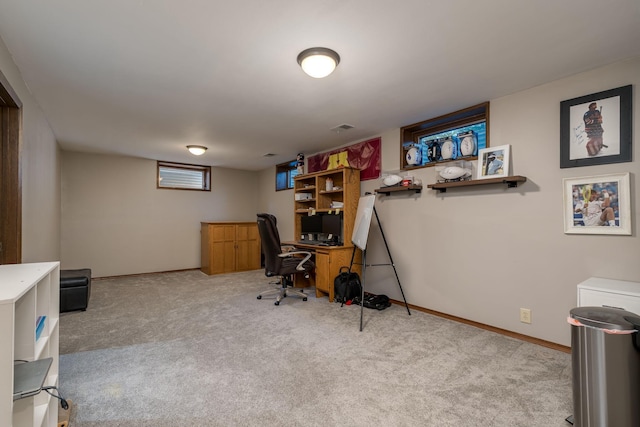 143 Outer Dr, Le Sueur, MN 56058 - photo 36