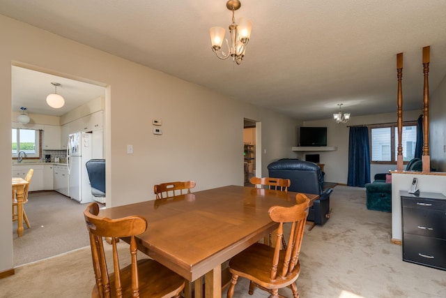 13340 County 1st Blvd, Belle Creek Twp, MN 55009 - photo 10