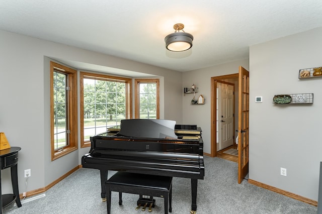2944 Mayowood Common Cir SW, Rochester, MN 55902 - sitting room with light colored carpet