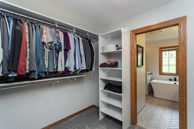 2944 Mayowood Common Cir SW, Rochester, MN 55902 - view of spacious closet