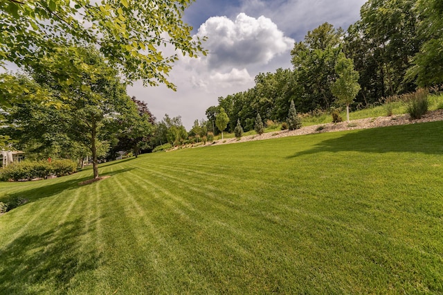 2944 Mayowood Common Cir SW, Rochester, MN 55902 - view of grassy yard