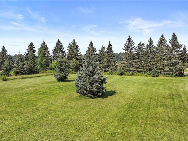 9936 Oakridge Rd, Long Lake Twp, MN 56401 - photo 52