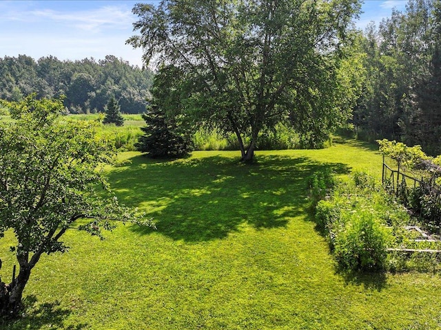 9936 Oakridge Rd, Long Lake Twp, MN 56401 - photo 55