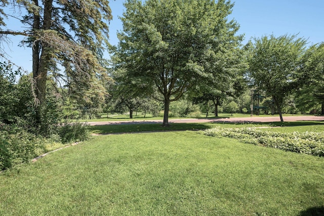 1281 Minnehaha Pkwy, Minneapolis, MN 55419 - view of green lawn