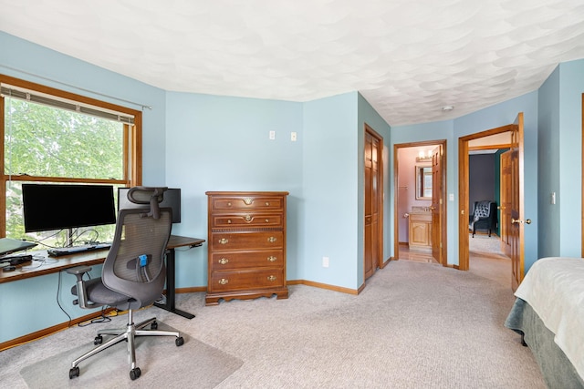 1299 Bellflower Ln NE, Owatonna, MN 55060 - photo 26