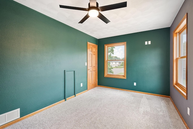 1299 Bellflower Ln NE, Owatonna, MN 55060 - photo 32