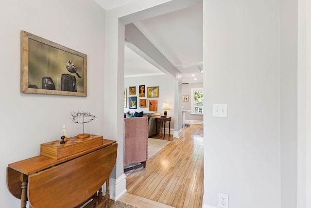 4356 Nokomis Ave, Minneapolis, MN 55406 - corridor featuring light wood-type flooring, ornamental molding, and recessed lighting