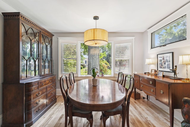 4356 Nokomis Ave, Minneapolis, MN 55406 - dining area with light wood finished floors