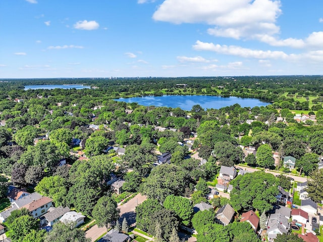 4356 Nokomis Ave, Minneapolis, MN 55406 - aerial view of residential area featuring a large body of water and a forest