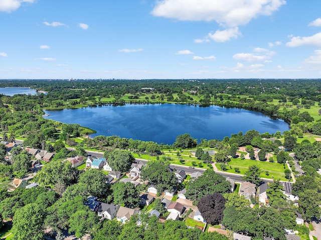 4356 Nokomis Ave, Minneapolis, MN 55406 - aerial view of residential area with a nearby body of water