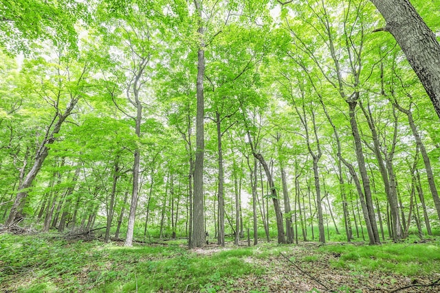 TBD Emerald Ter NE, Alexandria, MN 56308