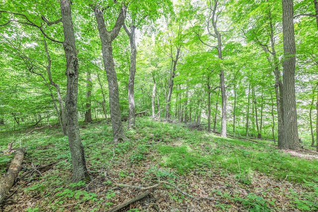 TBD Emerald Ter NE, Alexandria, MN 56308