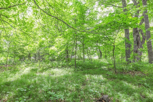 TBD Emerald Ter NE, Alexandria, MN 56308
