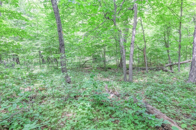 TBD Emerald Ter NE, Alexandria, MN 56308