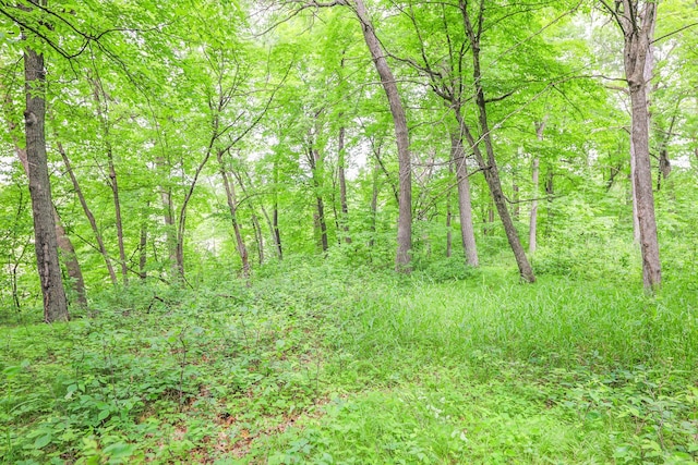 TBD Emerald Ter NE, Alexandria, MN 56308