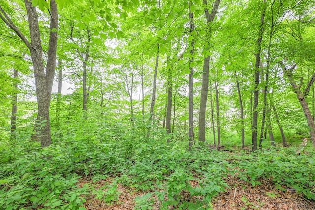 TBD Emerald Ter NE, Alexandria, MN 56308