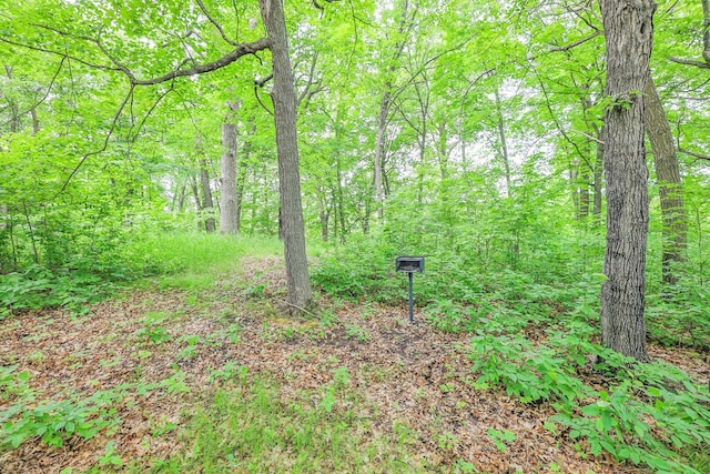 TBD Emerald Ter NE, Alexandria, MN 56308