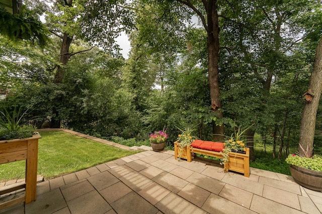 4089 Stone Point Dr NE, Rochester, MN 55906 - view of patio